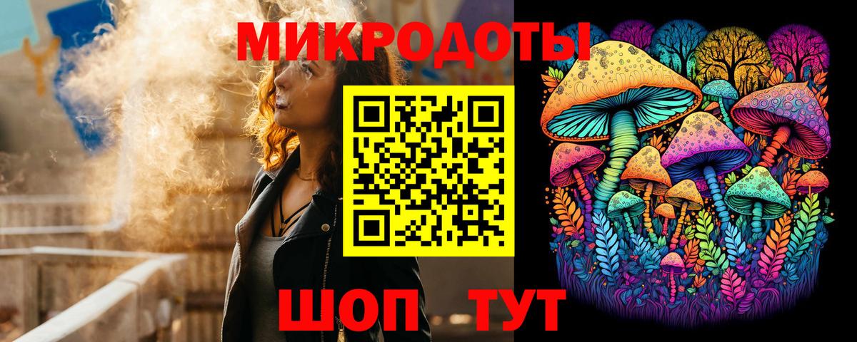 Галлюциногенные грибы Psilocybe Бор