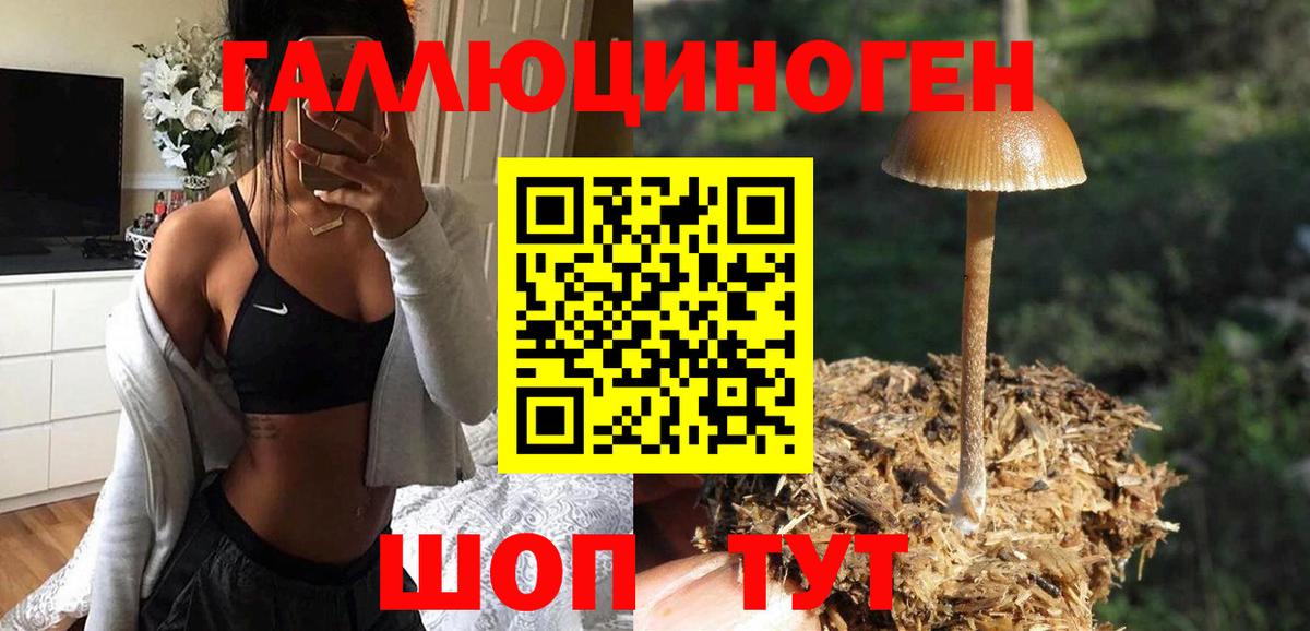 Псилоцибиновые грибы MAGIC MUSHROOMS  наркотики  Бор  Вход с VPN 